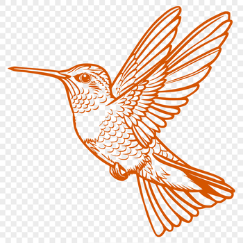 A close-up illustration of a hummingbird in mid-flight, showcasing its vibrant plumage and agile wings.