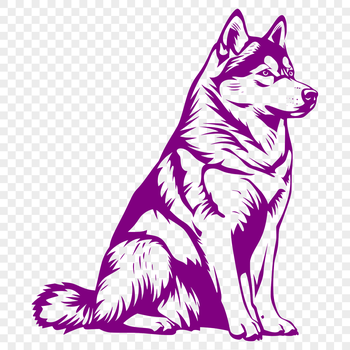 A full-body illustration of a sitting Husky dog breed, suitable for digital and printing applications.