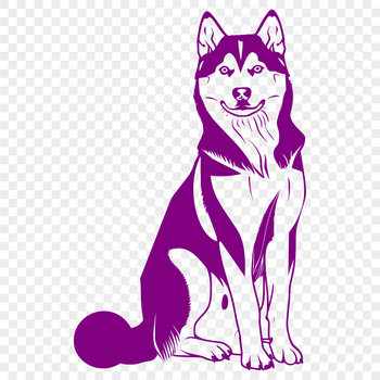 A Siberian Husky sitting on its hind legs, depicted in simple vector lines.