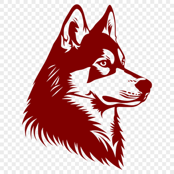 Close-up illustration of a Siberian Husky's head with detailed facial features.