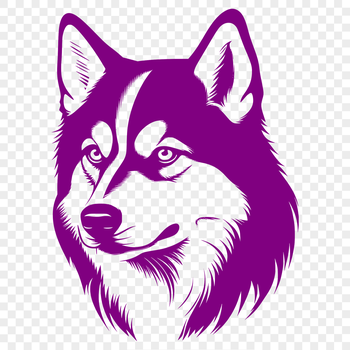 A vector illustration of a husky's head with a clean outline.