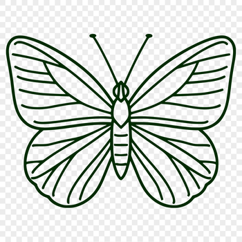 Artistic Insect PNG