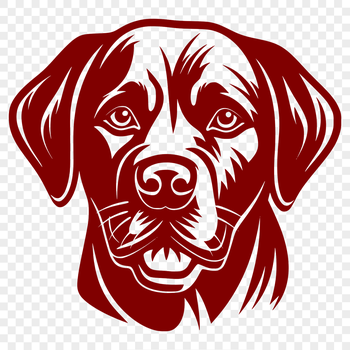 Labrador Retriever breed illustration in vector format.