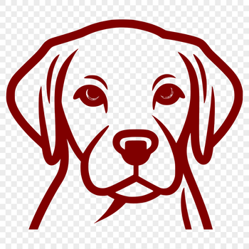 A simple line drawing of a Labrador Retriever's head, suitable for vector art projects.