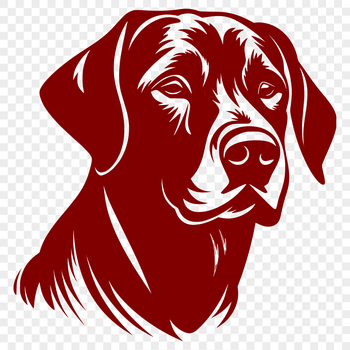 A digital illustration of a Labrador Retriever's head, suitable for vector art and cutting machine designs.