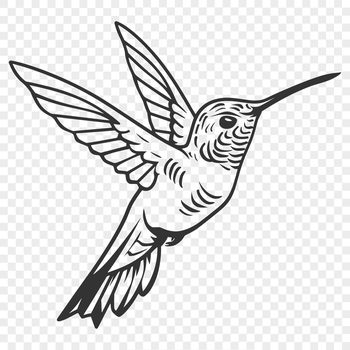 A colorful illustration of a hummingbird in flight.