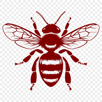 A detailed illustration of a bee in full body, suitable for gardening-themed designs and vector art.