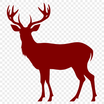 Silhouette of a deer in full body view, suitable for vector design and cutting machine projects.