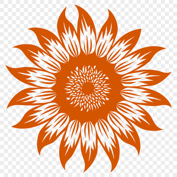 A detailed illustration of a sunflower in full bloom, suitable for gardening and floral design projects.