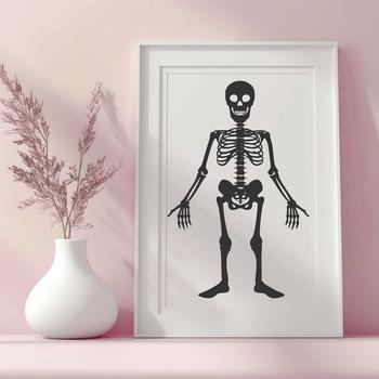 An SVG vector graphic representation of a complete human body skeleton.