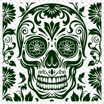 A detailed illustration of a human skull.