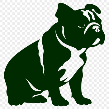 A sitting bulldog with a full body silhouette in vector format.
