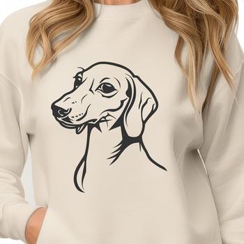 A small breed dog with a long body and short legs sits on its haunches looking up.