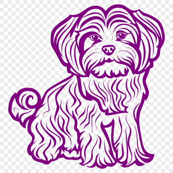 A Havanese dog sitting on a floor, with its fur visible in detail.