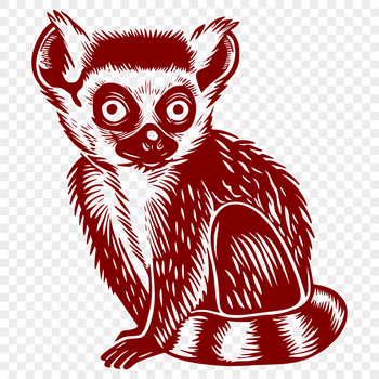 High-quality vector illustration of a full-body lemur in a digital format.