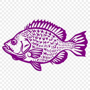 Free Creative Fish Vector Art