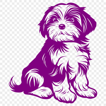 A full-body illustration of a sitting Havanese dog with a sweet expression.
