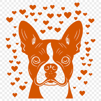 A cartoon Boston Terrier breed dog with love hearts surrounding its head, ideal for vector art or clip art designs.