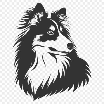 Close-up vector art of a Shetland sheepdog's facial features in a simple design style.