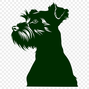 An illustration of a small dog with a distinctive beard, suitable for use as clip art in various design projects.