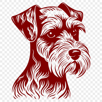 A illustration of a Miniature Schnauzer's head, suitable for use as clip art.