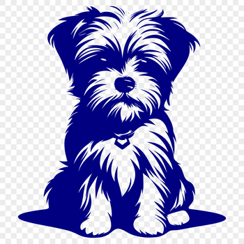 A full-body illustration of a seated Morkie dog, suitable for vector art and digital design.