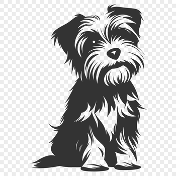A sitting dog with a curly coat, shown in full body view.