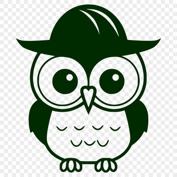 A colorful illustration of a full-body owl with a big round face and big round eyes.