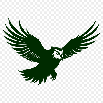 Realistic illustration of a flying bird in full body form.
