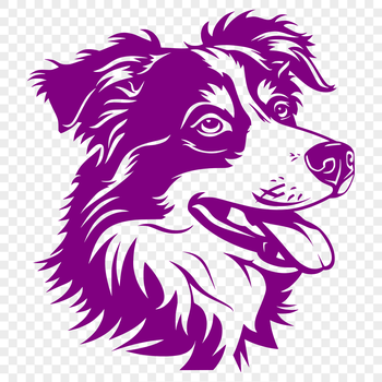 Close-up illustration of a friendly Australian Shepherd's head, a popular breed of dog.