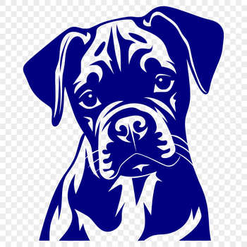 A detailed vector illustration of a Boxer's head, suitable for various design applications.