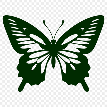 A detailed illustration of a full-bodied butterfly, suitable for vector design and digital art projects.