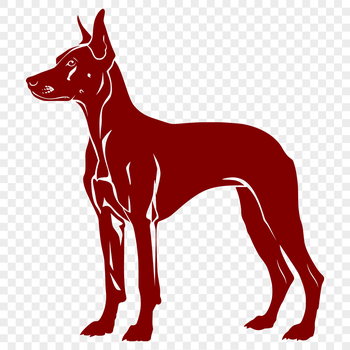 A digital representation of a Doberman Pinscher in vector format, showing its complete body from a standing position.