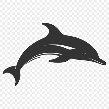 Beautiful Dolphin Vector Illustration