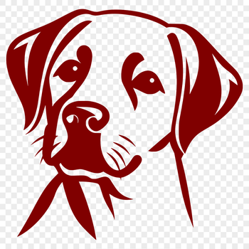 A close-up illustration of a happy Labrador Retriever's head, suitable for crafting and design.