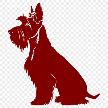 A close-up illustration of a sitting miniature dog with a distinctive beard and mustache.