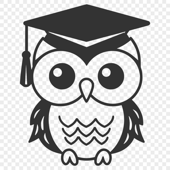 A full-body illustration of a cute owl with feathers and wings.