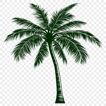 A simple illustration of a palm tree, suitable for use in graphic design projects.