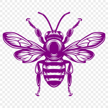 A detailed illustration of a bee in full body view, suitable for vector graphics design.