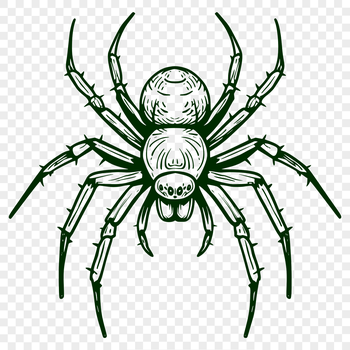 A silhouette of a witch standing in front of a spider web on a moonlit night.