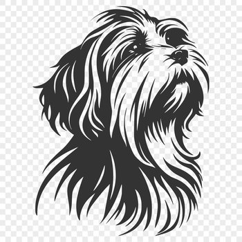 A detailed illustration of a Havanese dog's head, suitable for vector art designs.