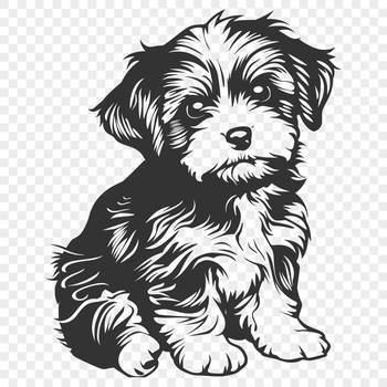 A high-quality illustration of a seated Havanese dog breed.