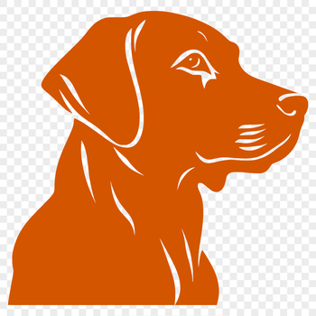 A digital illustration of a Labrador Retriever's head, suitable for vector art designs.