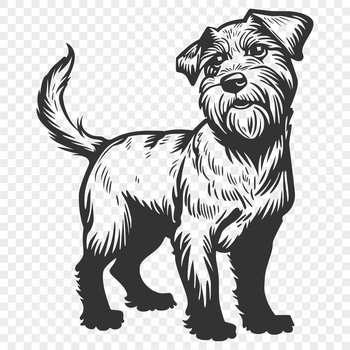 Close-up illustration of a standing miniature schnauzer dog breed.