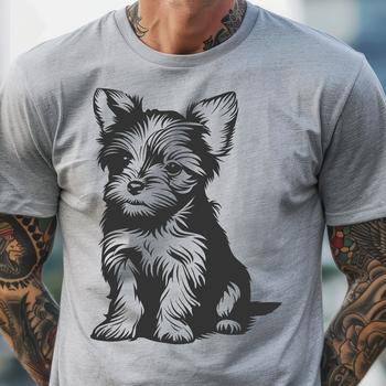 A small breed dog, specifically a Yorkshire Terrier, sitting on its haunches in full body view.