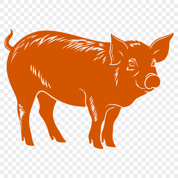 A standing full-body illustration of a pig, suitable for vector design and printing.