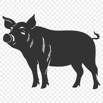 A detailed illustration of a standing pig in profile.