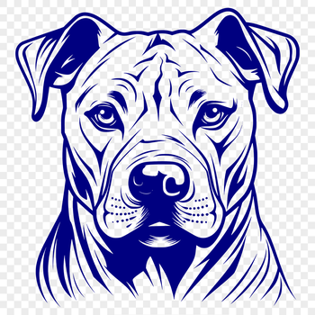 Pitbull breed illustration in vector format.