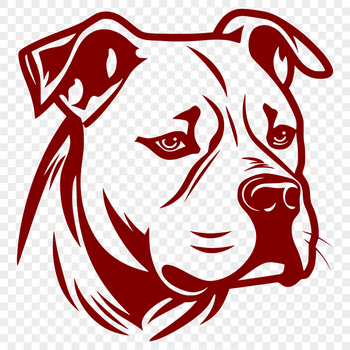 A detailed illustration of a Pitbull's head from multiple angles.