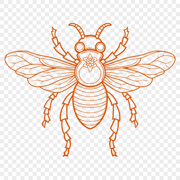 A detailed illustration of a bee from head to tail, featuring intricate details.